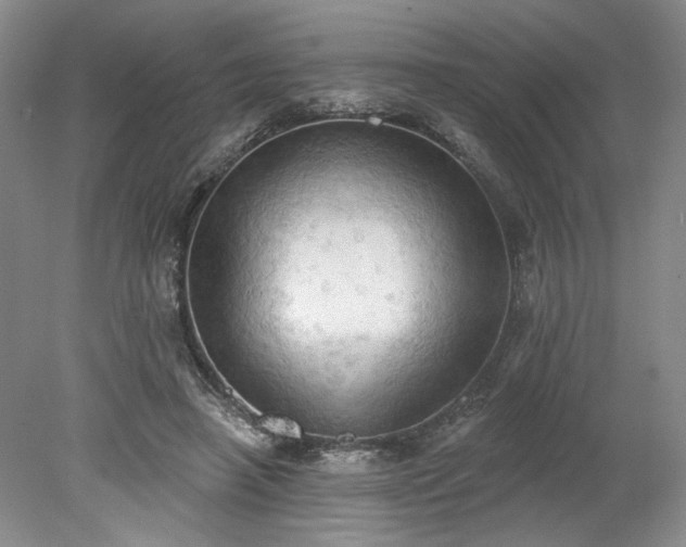 X0000078230450200611101014