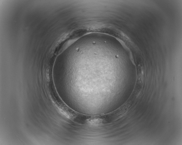 X0000078230452200611101014