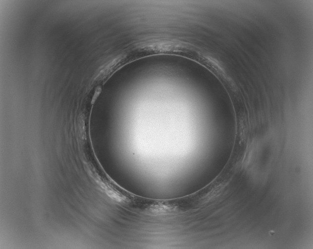 X0000078230453200611101014