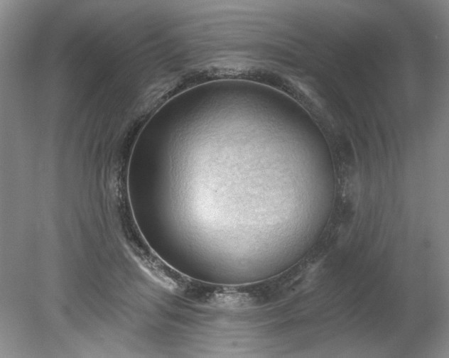 X0000078230455200611101014