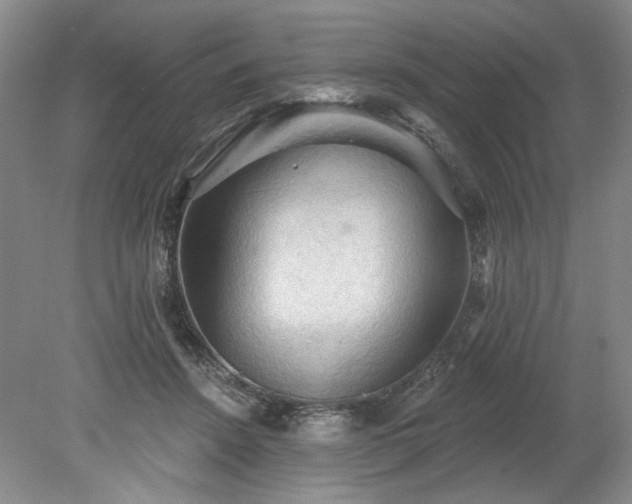 X0000078230456200611101014