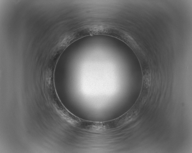 X0000078230458200611101014