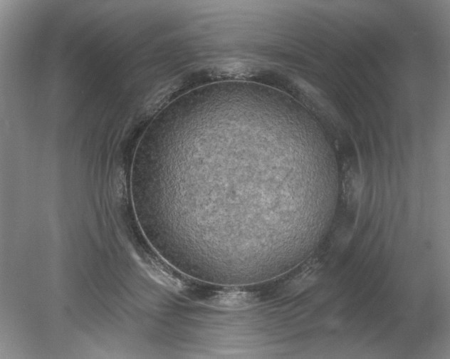 X0000078230459200611101014