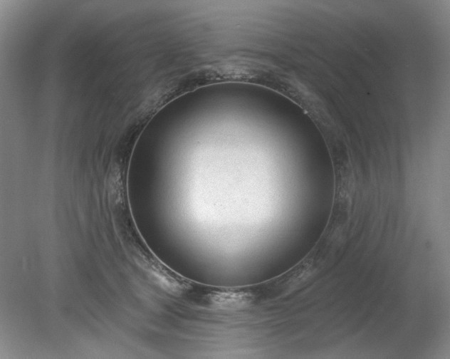 X0000078230465200611101014