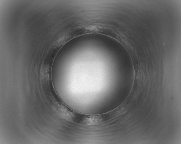 X0000078230466200611101014