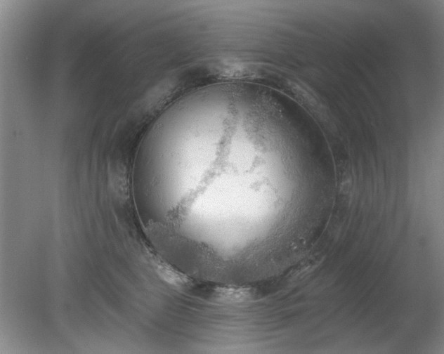 X0000078230469200611101014