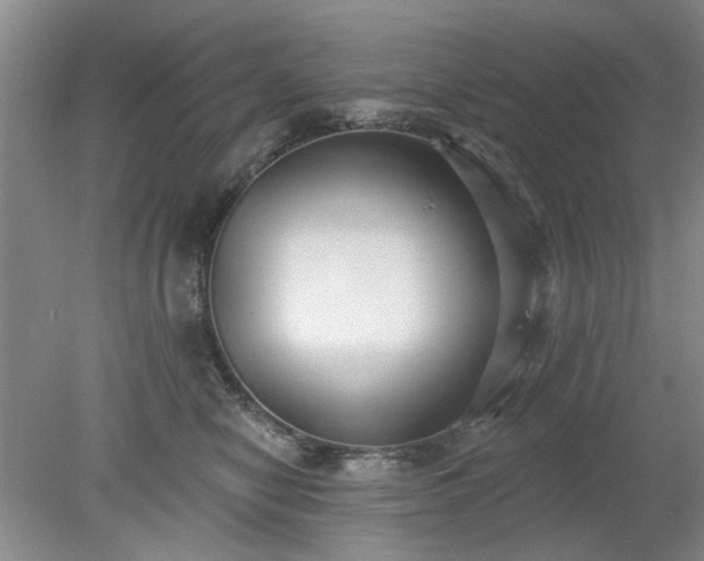 X0000078230470200611101014