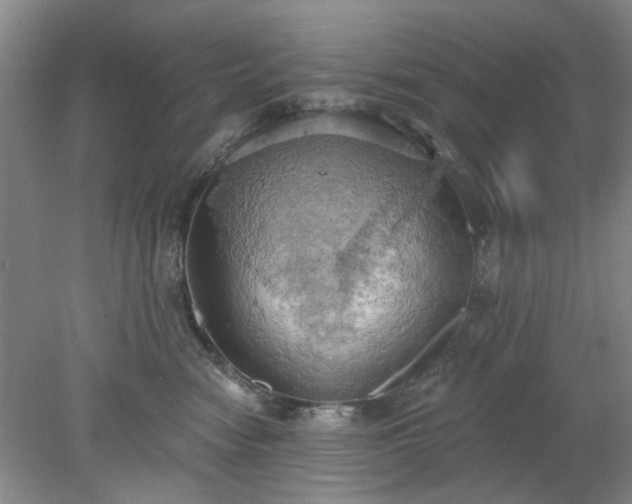 X0000078230474200611101014