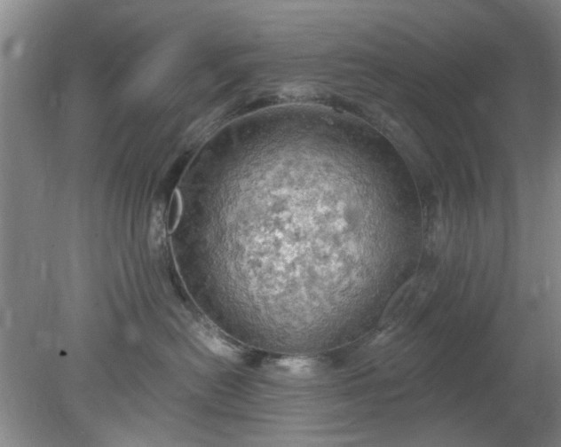 X0000078230478200611101014