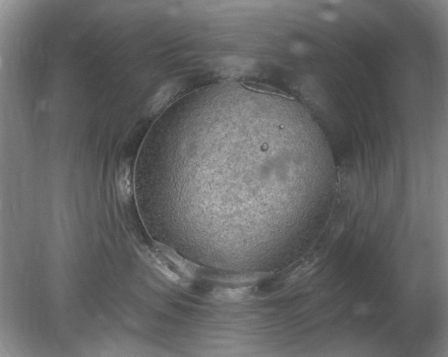 X0000078230479200611101014