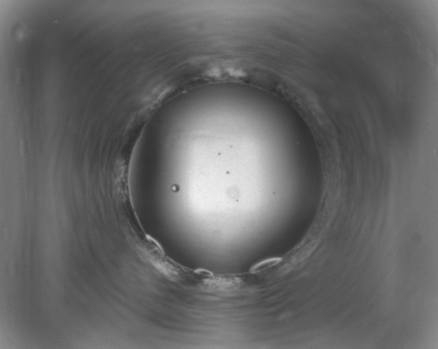 X0000078230480200611101014