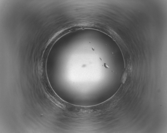 X0000078230484200611101013