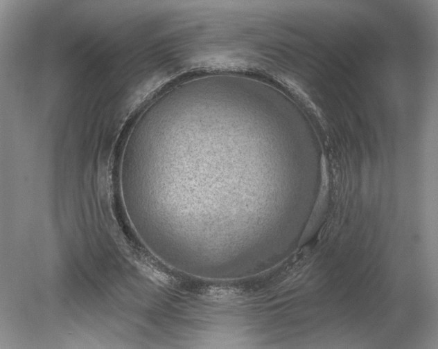 X0000078230487200611101013