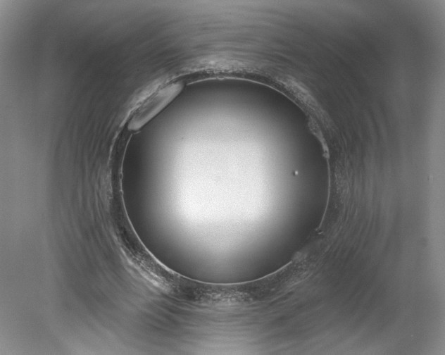 X0000078230488200611101013