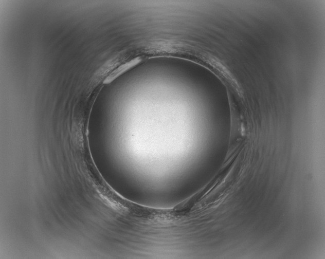 X0000078230489200611101013