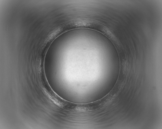 X0000078230490200611101013