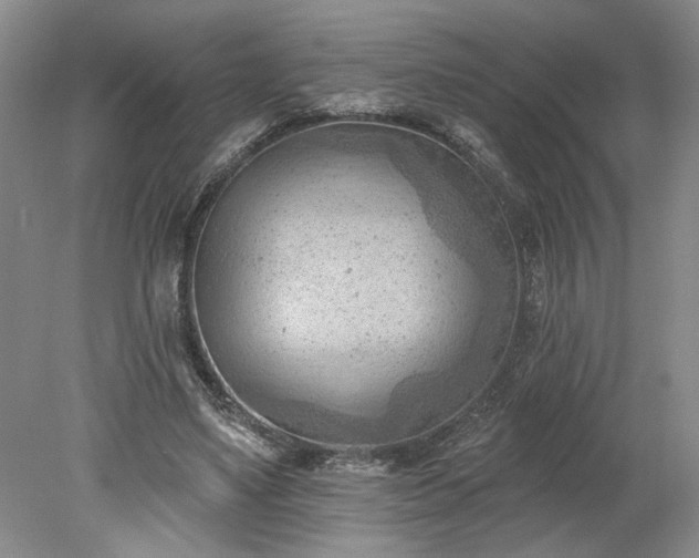 X0000078230491200611101013