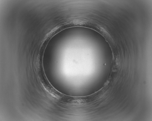 X0000078230492200611101013