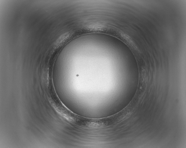 X0000078230494200611101013