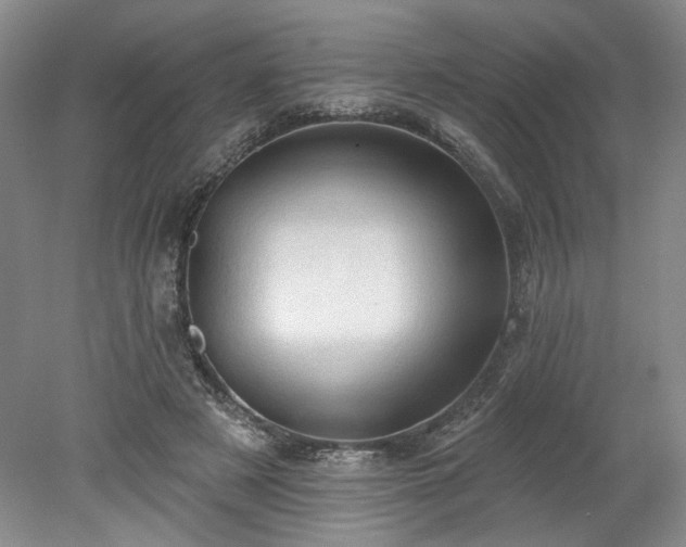 X0000078230497200611101013