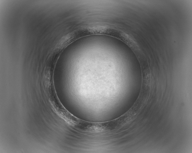 X0000078230498200611101013