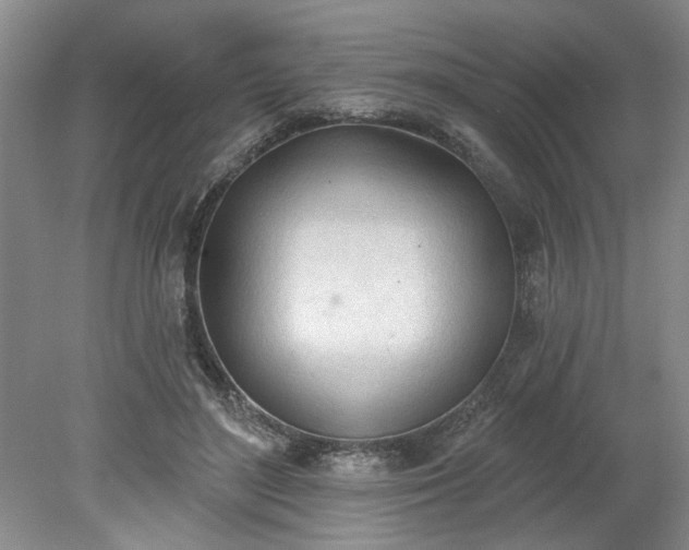 X0000078230500200611101013