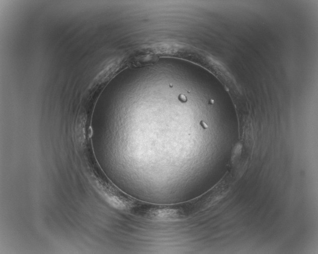 X0000078230501200611101013