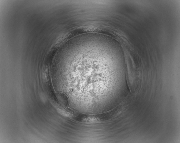 X0000078230503200611101013