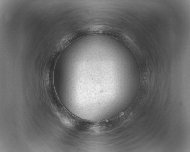 X0000078230504200611101013