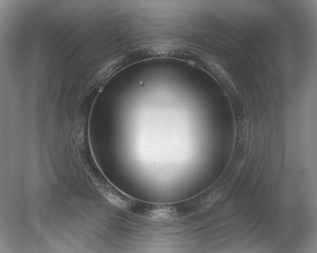 X0000078230505200611101013