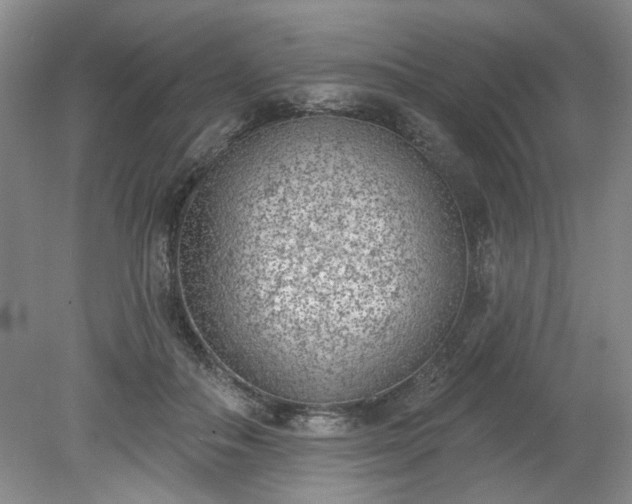 X0000078230506200611101013