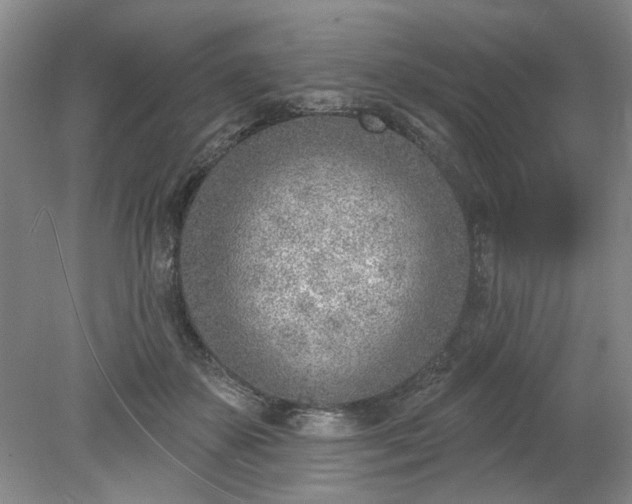 X0000078230507200611101013