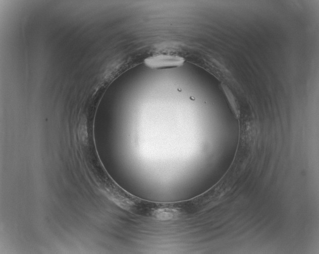 X0000078230508200611101013