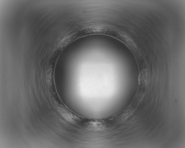 X0000078230509200611101013