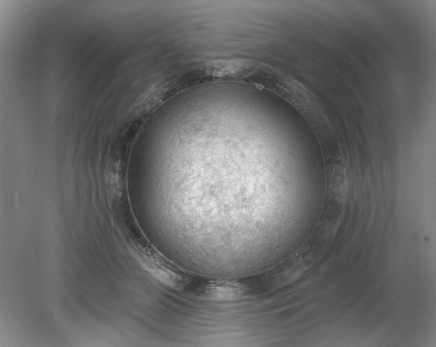 X0000078230510200611101013