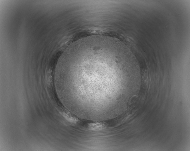 X0000078230511200611101013