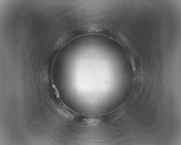 X0000078230512200611101013