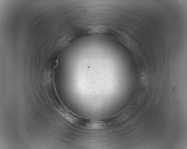 X0000078230514200611101013