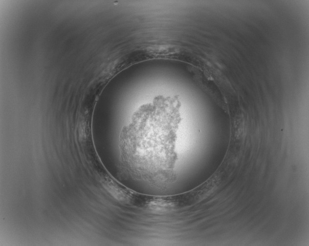 X0000078230515200611101013