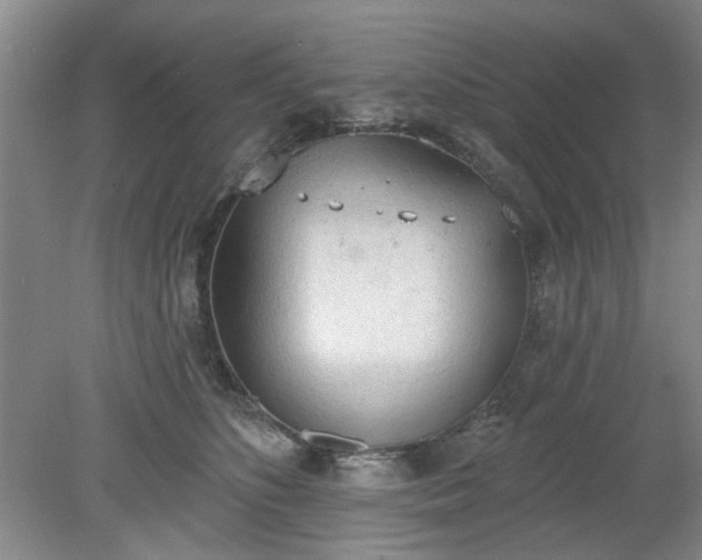 X0000078230516200611101013