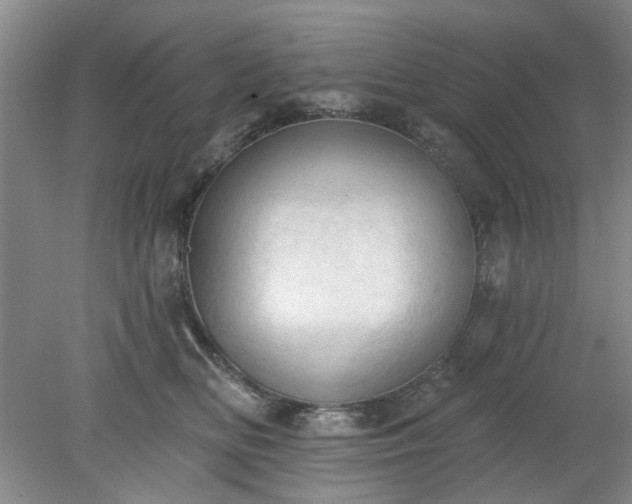 X0000078230518200611101013