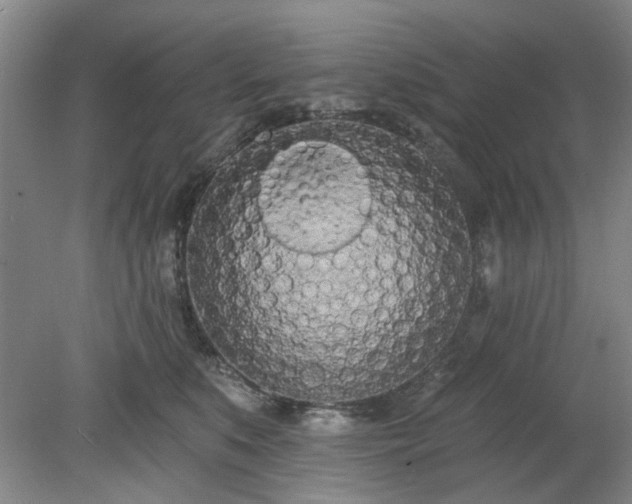 X0000078230519200611101013