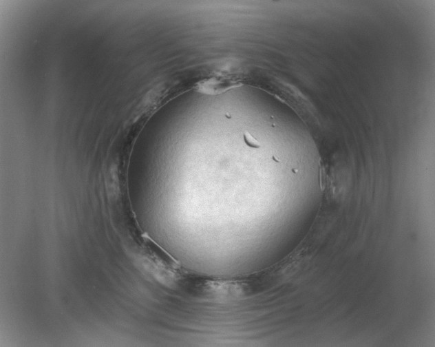 X0000078230520200611101013