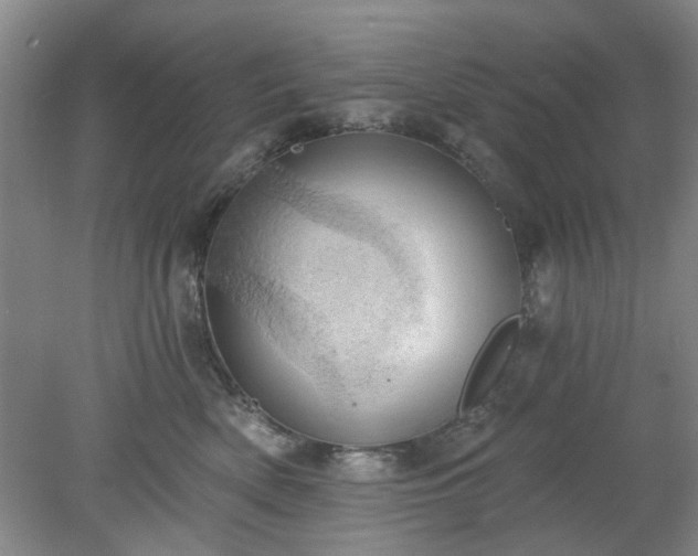 X0000078230522200611101013