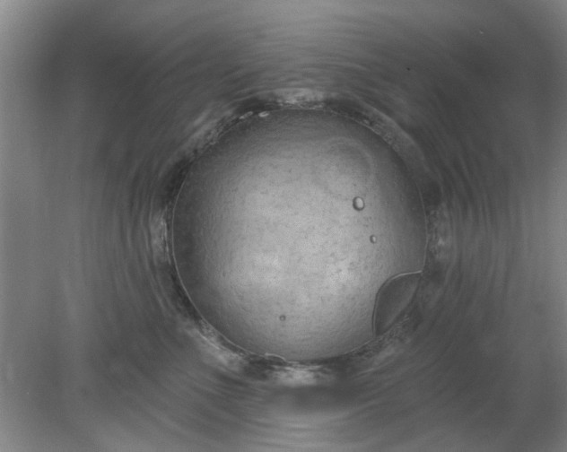 X0000078230523200611101013