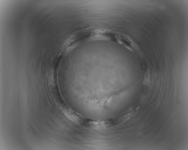 X0000078230524200611101013