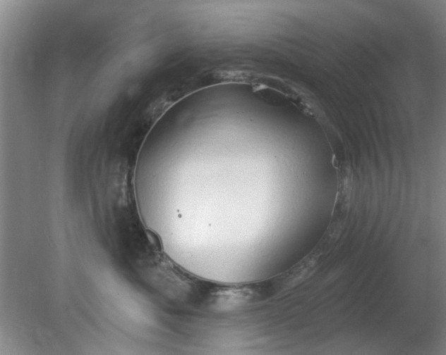 X0000078230525200611101013