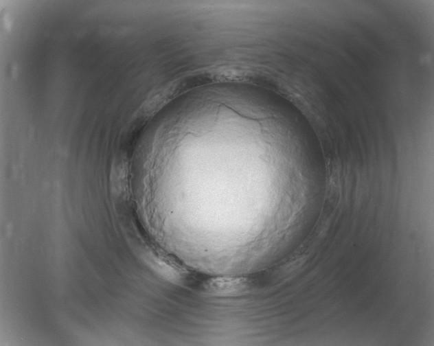 X0000078230526200611101013