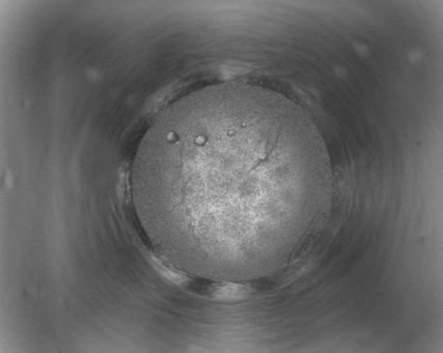 X0000078230527200611101013