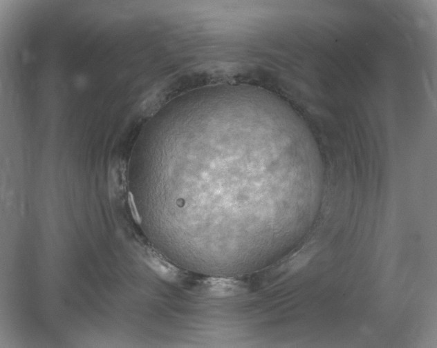 X0000078230528200611101013